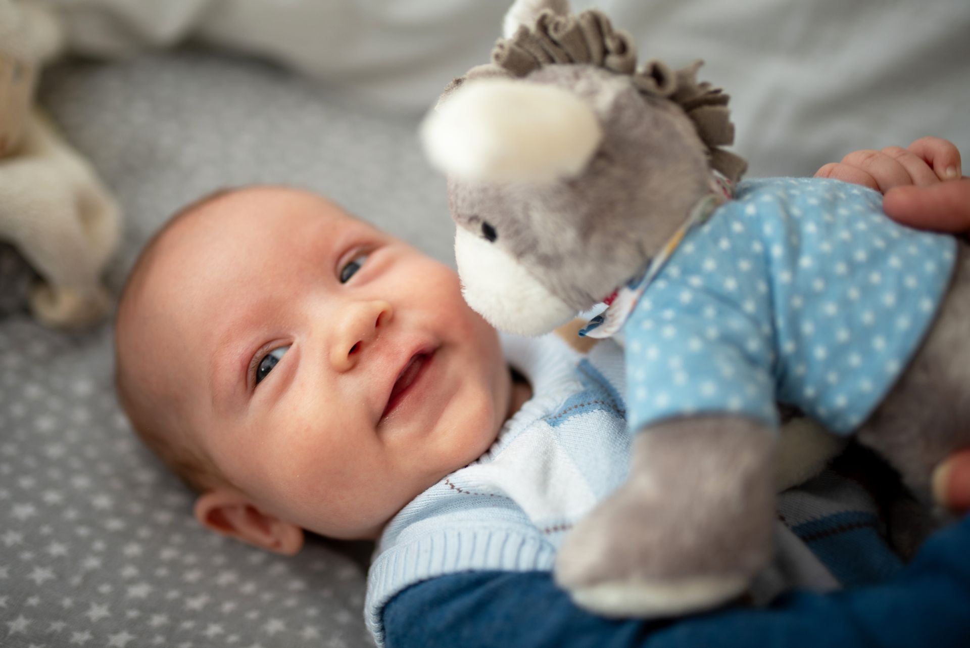 Familienfoto im Freien – Familie und Baby, Albstadt & Zollernalbkreis